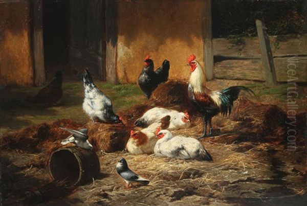 Barnyard With Chickens And Pigeons Oil Painting by Eugene Remy Maes