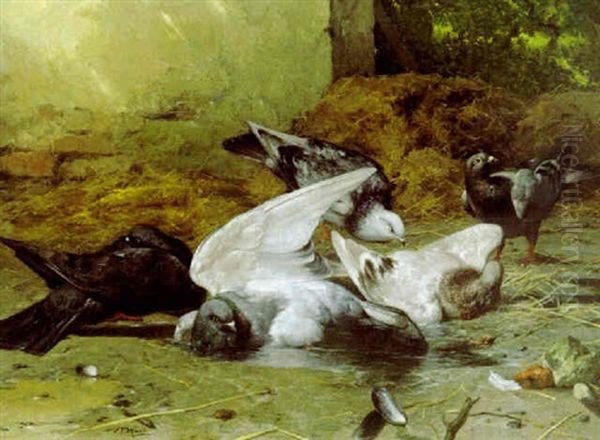 Pigeons Oil Painting by Eugene Remy Maes