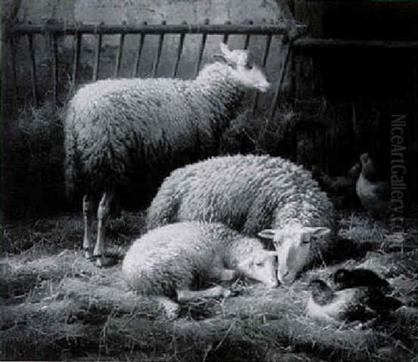 Sheep And Poultry In A Fold Oil Painting by Eugene Remy Maes