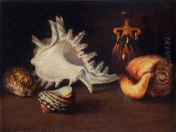 Still Life With Shells Oil Painting by James C. Magee