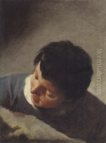 Ritratto Di Ragazzo Oil Painting by Domenico Maggiotto