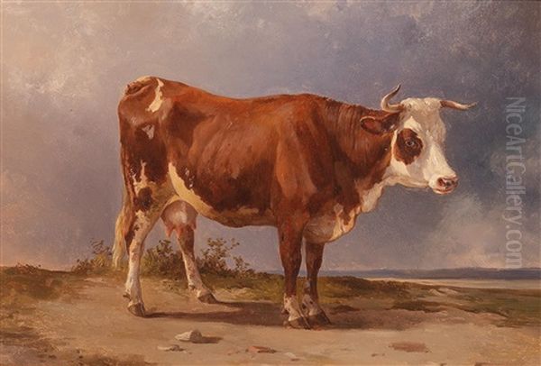 Cow Standing In An Open Landscape Oil Painting by Edmund Mahlknecht