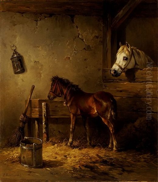 Stallinterieur Mit Schimmel Und Fuchs-fohlen Oil Painting by Edmund Mahlknecht