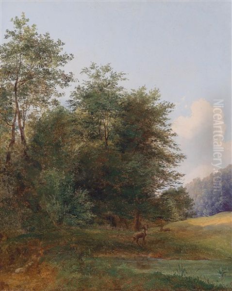 Roe Deer By The Pond Oil Painting by Edmund Mahlknecht