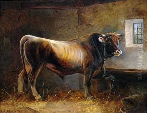 Ochse Im Stall Oil Painting by Edmund Mahlknecht