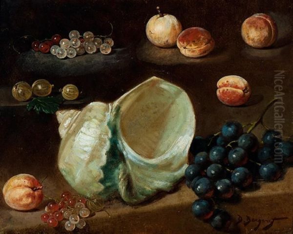 Study Of Shell And Fruit Oil Painting by Denis Pierre Bergeret