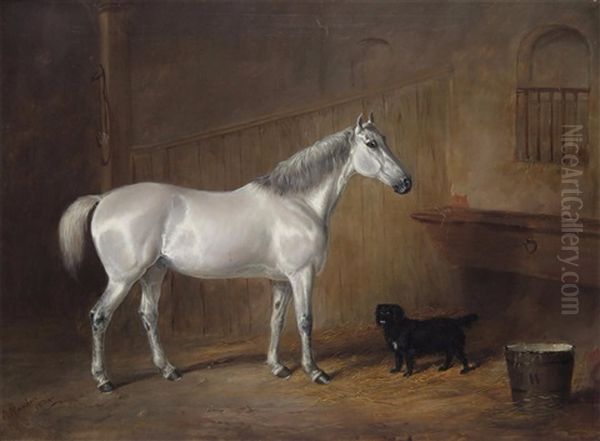 A Grey In A Stable With A Dog Oil Painting by Joseph Maiden