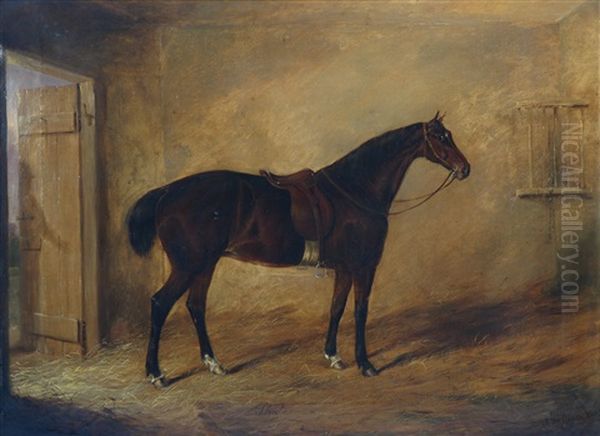 Il Cavallo Phoebe Oil Painting by Joseph Maiden