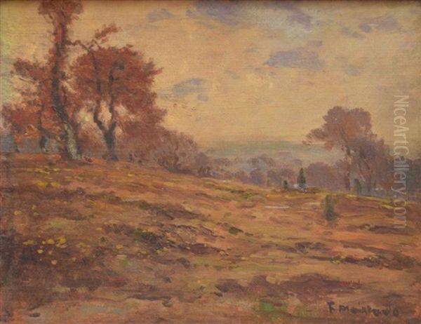 Paysage Du Centre Oil Painting by Fernand Maillaud