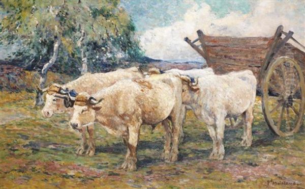 Les Boeufs Oil Painting by Fernand Maillaud