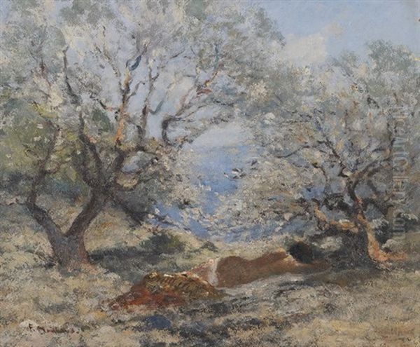 Bord De Mer Au Lavandou Ou Provence Femme Couchee Sous Les Oliviers Oil Painting by Fernand Maillaud