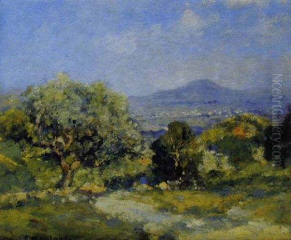 Vue De La Vallee D'hyeres Oil Painting by Fernand Maillaud