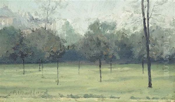 Kensington Gardens, Southside, End Of Summer Oil Painting by Paul Fordyce Maitland