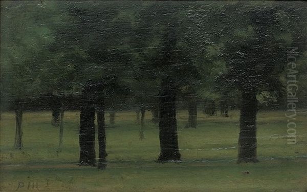 Trees In Kensington Gardens (study) Oil Painting by Paul Fordyce Maitland