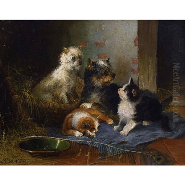 Katzen- Und Hundepaar Mit Pfauenfeder Oil Painting by Gustav Majer