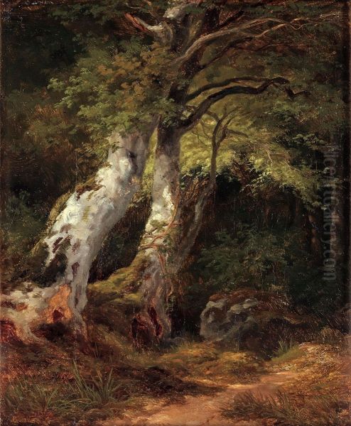 Forest Landscape Oil Painting by Edvard Bergh