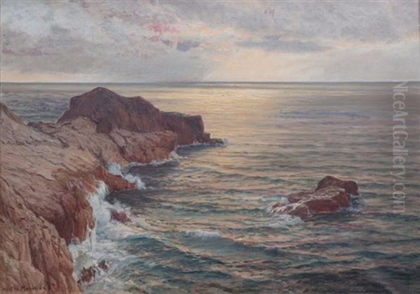 Les Falaises Oil Painting by Vartan Makokian