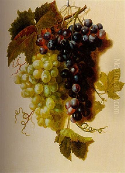 Bunches Of Green And Red Grapes Suspended From A Rope Oil Painting by Joseph-Laurent Malaine