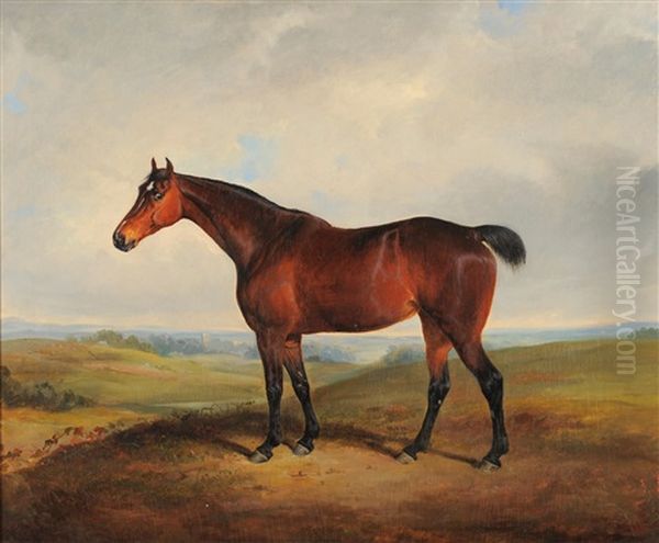 Hunter Standing In A Sunlit Landscape Oil Painting by William Malbon