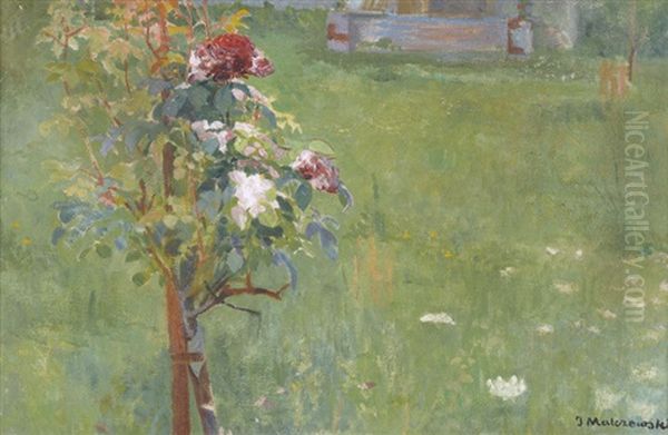 Gartenlandschaft Mit Bluhendem Rosenbaumchen Oil Painting by Jacek Malczewski