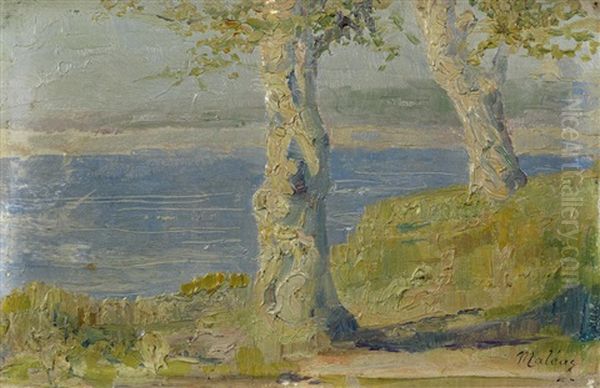 Trees By The Sea Oil Painting by Konstantinos Maleas