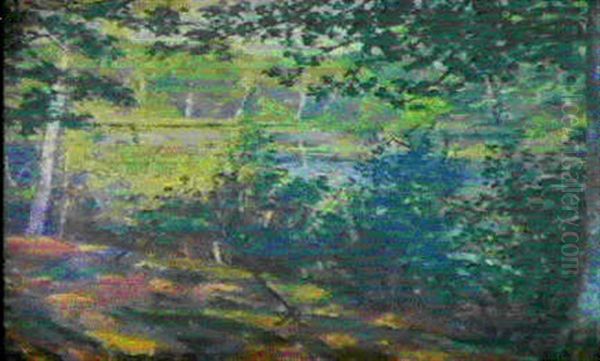 Sommernachmittag Am Teich Oil Painting by William Malherbe