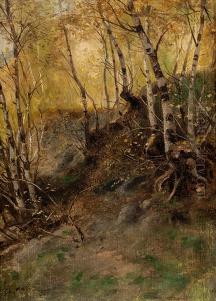 Herbststimmung Im Birkenwald Oil Painting by Christian Friedrich Mali