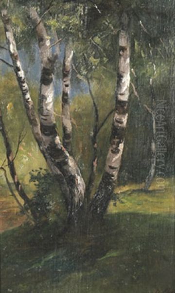 Birken Im Fruhling (study) Oil Painting by Christian Friedrich Mali