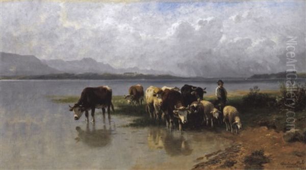 Kuhe Und Schafe Am Chiemsee Oil Painting by Christian Friedrich Mali