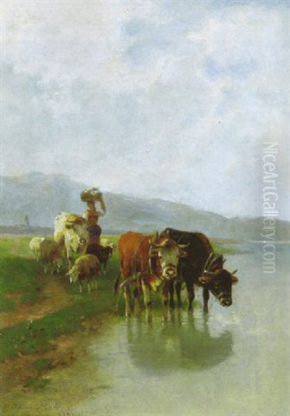 Hirtin Mit Schafen Und Ochsen An Der Tranke Am Seeufer Vorn by Christian Friedrich Mali