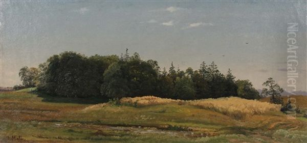 Sommerlandschaft Mit Einem Waldchen Zwischen Feldern Und Wiesen Oil Painting by Jan (Johann Cornelius) Mali