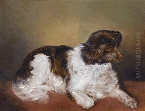 A Liver And White Spaniel Oil Painting by Ferdinand Mallitsch