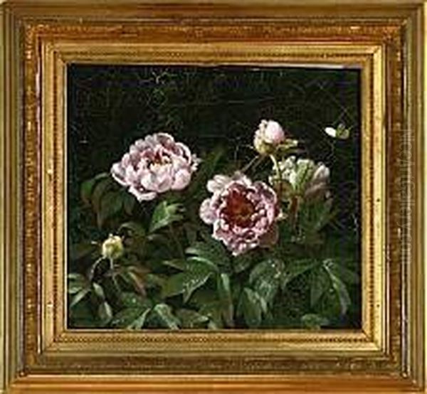 A Study Of Pink Peonies Oil Painting by Johan Frederik Bergsoe