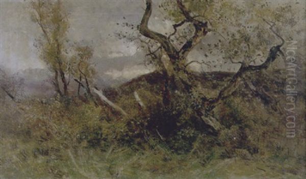 Paesaggio Con Alberi E Cespugli Oil Painting by Francesco Mancini