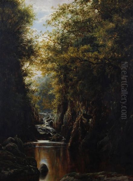 Autumn, In The Fairy Glen, Bettws-y-coed, North Wales Oil Painting by William Henry Mander