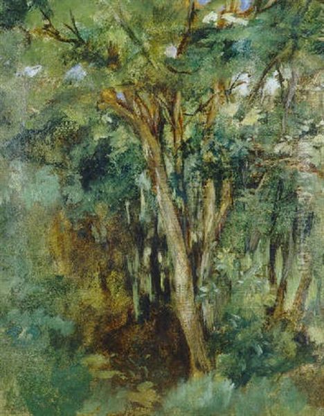 Troncs D'arbres Oil Painting by Edouard Manet