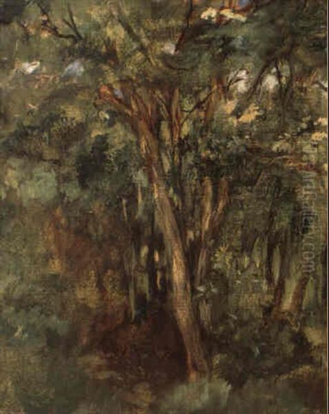 Paysage Aux Arbres Oil Painting by Edouard Manet