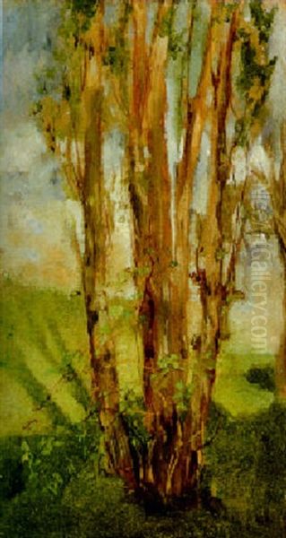 Les Arbres Oil Painting by Edouard Manet