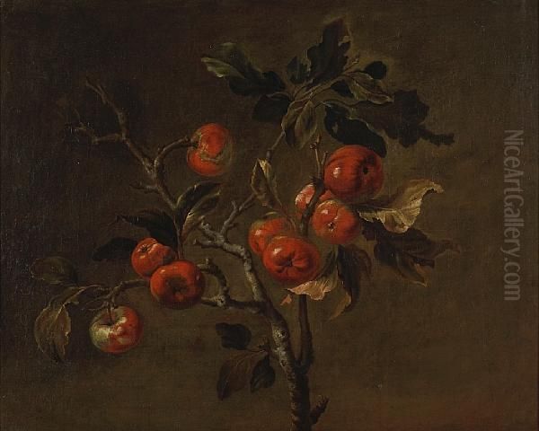 A Branch Of Ripe Apples Oil Painting by Antoine Berjon