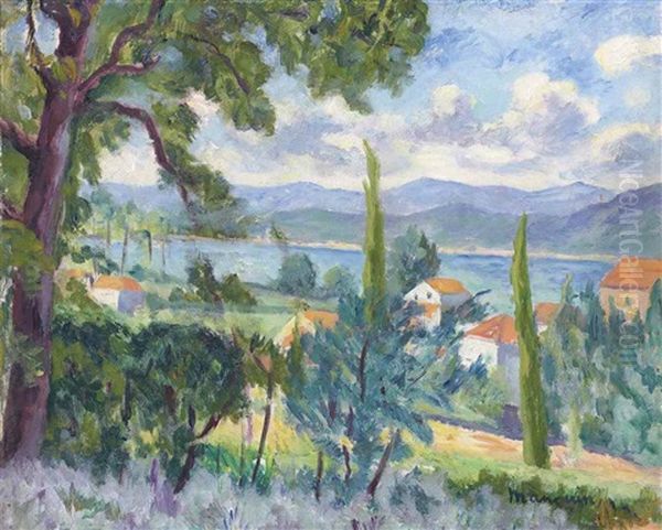 Saint-tropez, Vue Sur Le Fond Du Golfe Oil Painting by Henri Charles Manguin