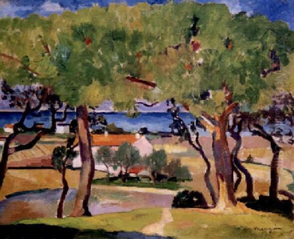 Chenes-lieges A Saint-tropez Oil Painting by Henri Charles Manguin