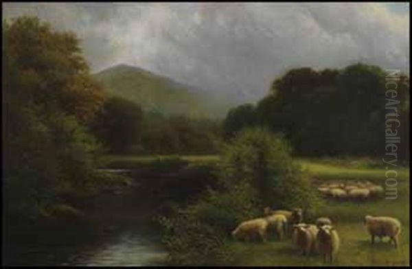 Sheep In A Pasture Oil Painting by Charles Macdonald Manly