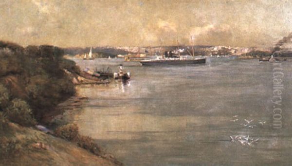 View Of Sydney Harbour From The North Shore Oil Painting by Gother Victor Fryers Mann