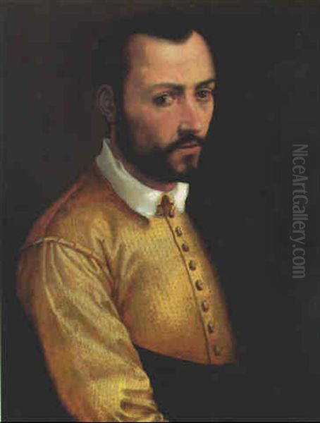 Portrait Of A Gentleman, Possibly Francesco I De'medici, Half-length, In A Yellow Doublet With A White Collar And A White Cape Oil Painting by Tommaso Manzuoli