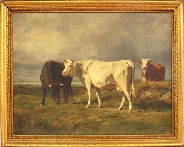 Three Cows In Shoreline Pasture Oil Painting by Adolphe Charles Marais