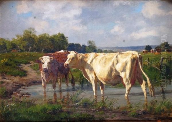 Vaches S'abreuvant Oil Painting by Adolphe Charles Marais