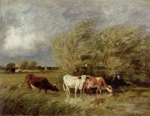 Cows In A Meadow Oil Painting by Adolphe Charles Marais