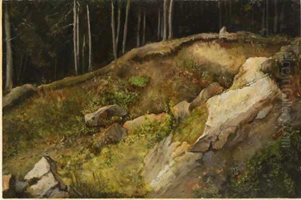 A Forest Gully Oil Painting by Julius Eduard Marak