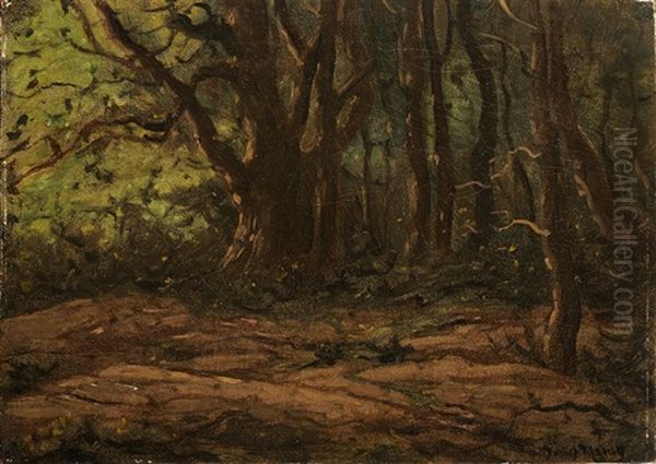 Forest Landscape Oil Painting by Julius Eduard Marak