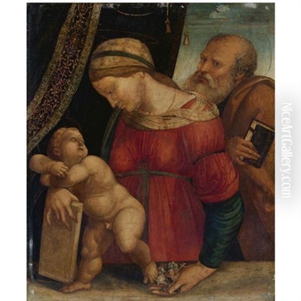 The Holy Family Oil Painting by Girolamo Marchesi da Cotignola